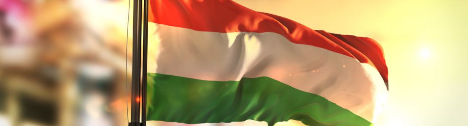 Hungary's MOL Survives Poor Prices