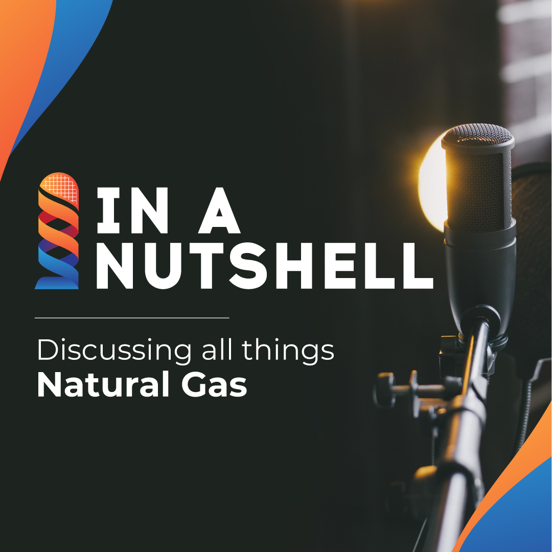 In a Nutshell by Natural Gas World